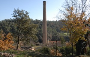 avidal
