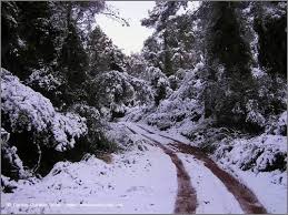 serres2