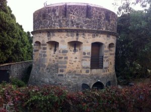 la-torre-dels-carlins_61018671