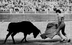 salvador-vilallonga-2