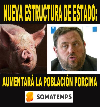 junqueres porc copia