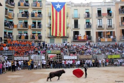 Cardona-143p1-e1442265363582