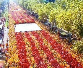 Diada 2014