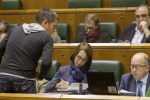 Parlamentarios-Bildu-