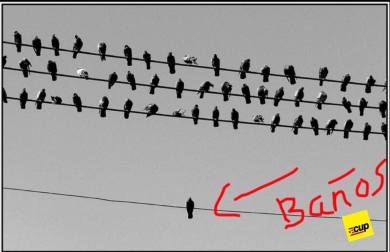 baños solo