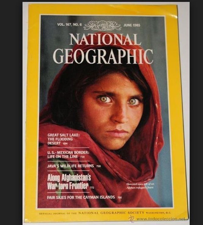 portada-revista_966214754_115981476_667x740