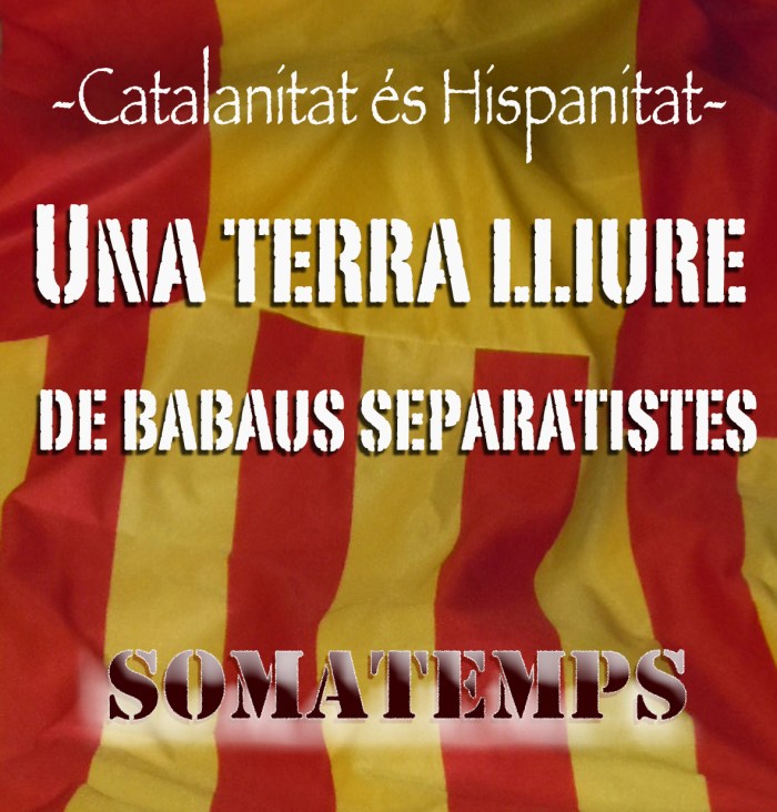 cartelbanderas copia1 copia 4.jpg