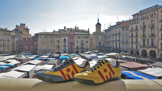 VamCats-Vic-independentista-Guillem-Soldevila_1833426699_45553241_651x366