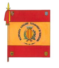 BANDERA-VOLS-CATALANES.jpg
