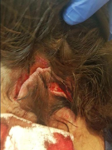 fa0d8f08630a85dac4e729cfb8b27c5e3b646c2948f1c0e5fc2d60398766c5e8