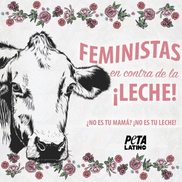 vacas-feministas.jpg