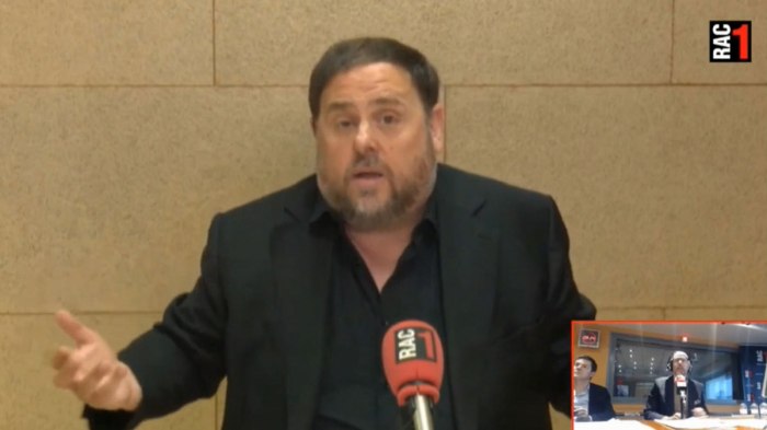 junqueras-convencido-que-eurocamara-suspendera-diputado-1558690126497.jpg