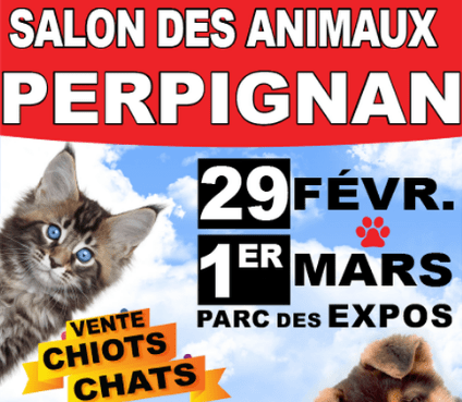 captura-de-pantalla-2020-02-18-a-la-s-09-40-35