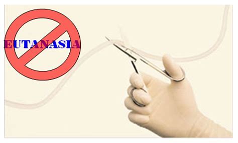 OIP.D57Dst766JWT8h429uR-_wHaEf